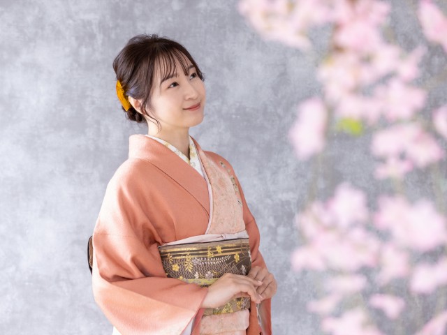 《プレゼント》訪問着(297,000円のお品)プレゼント※ガード代13,200円、ゆのし代3,300円は別途